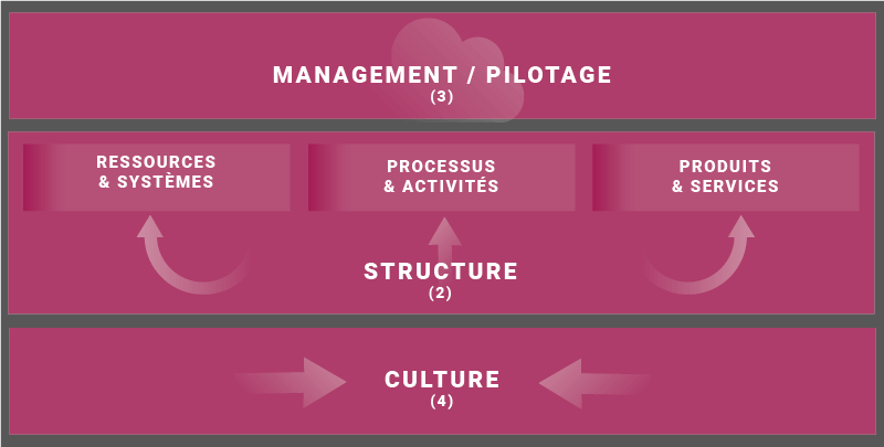 2) L’organisation structure les activités grâce à un cadre de référence, 3) Le pilotage permet d’atteindre les objectifs fixés et de contrôler une organisation, 4) La culture fait référence à l’attachement aux valeurs professionnelles et au vécu de l’organisation et du management